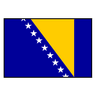Bosnia-Herzegovina logo