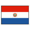 Paraguay logo
