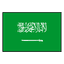 Saudi Arabia logo