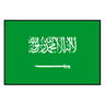 Saudi Arabia logo