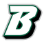 Binghamton Bearcats logo