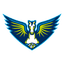 Dallas Wings logo