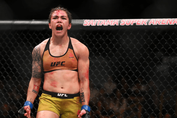 Current UFC Title Picture