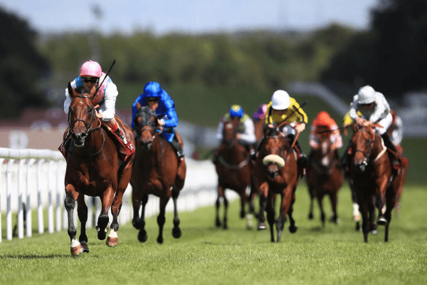 BettingsNews Default Image