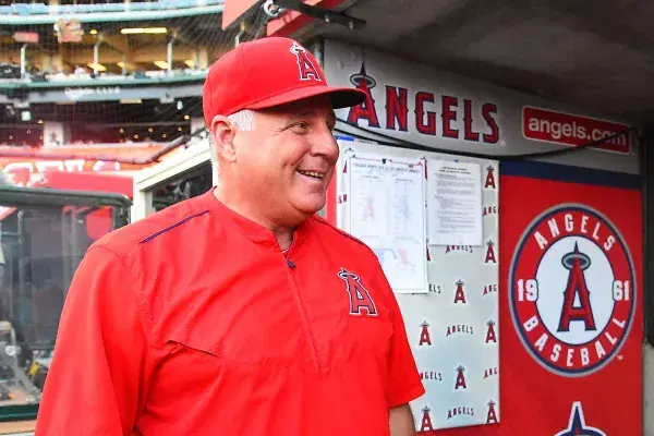 Dog Days of August Leads to Interesting Major League Baseball News