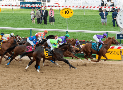 Preakness Stakes 2019 Picks