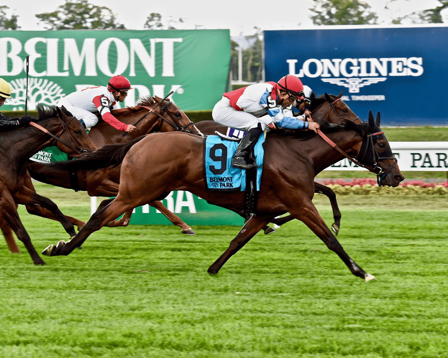Belmont Park July 13 – Race 6 Analysis, Picks & Best Bets