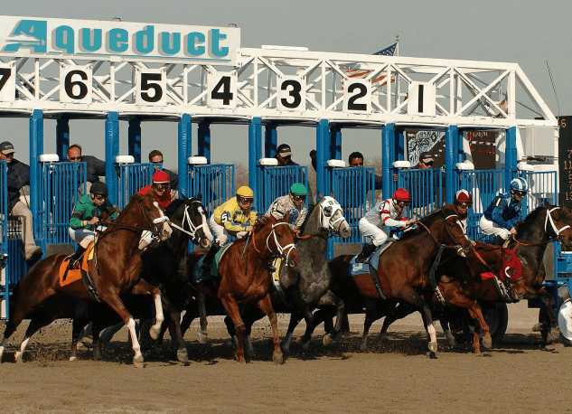 Aqueduct Picks- January 27, 2024: Jimmy Winkfield