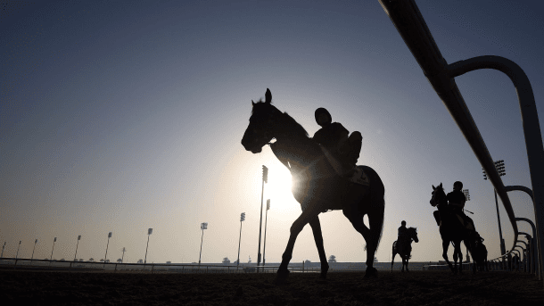 Belmont Park July 8 – Race 9 Analysis, Picks & Best Bets