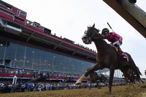 Picking Ponies: Picking Winners at the Belmont