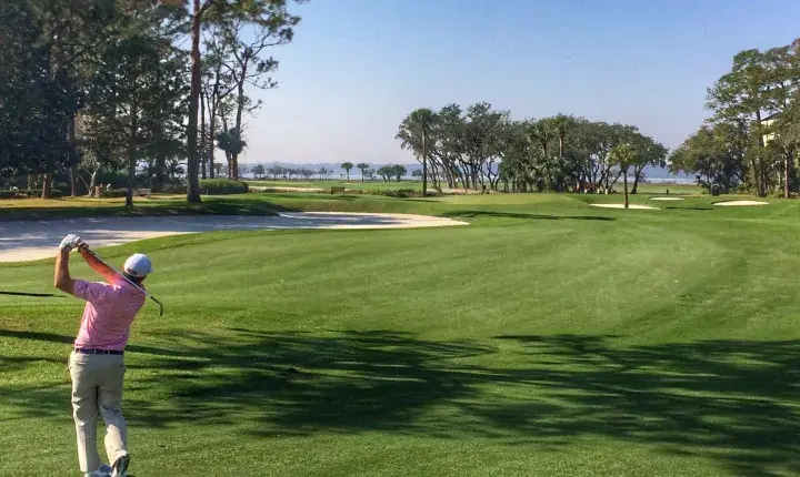 RBC Heritage Betting Odds and Predictions