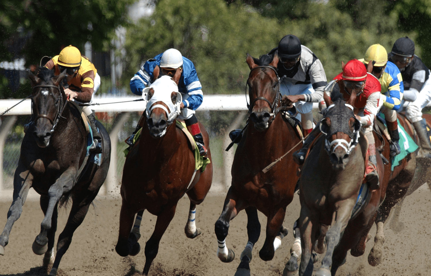 Saratoga Racing August 18 – Race 9 Analysis, Picks & Best Bets