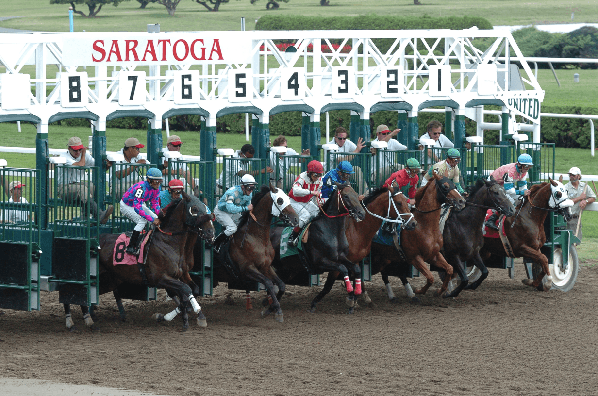 Saratoga Dirt Gate