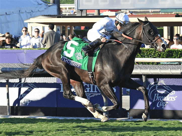 Breeders Cup 2018 : Picks for the BC Mile at Churchill Downs