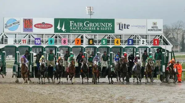 Fair Grounds: Woodchopper, Pago Hop, and Sugar Bowl Analysis