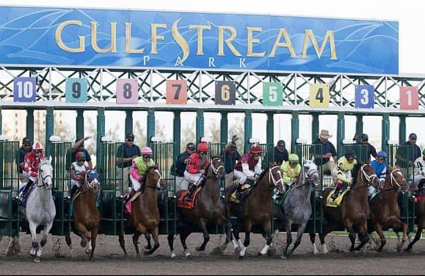 Gulfstream Park Thursday: 8 Race Florida Derby Primer