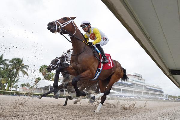 Charles Town Picks: Charles Town Classic (08/22/2025)