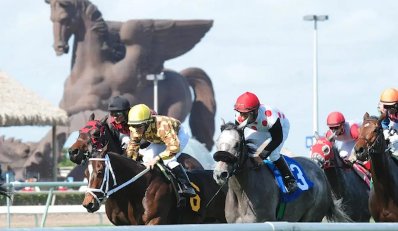 Gulfstream Park Picks: 2024 Pegasus World Cup Invitational