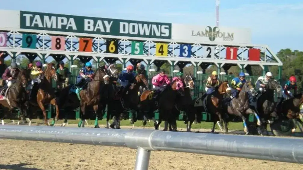 Tampa Bay Downs Picks- ESMARK Turf Classic Stakes (3/30/2025)