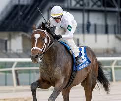 Oaklawn Park Picks: Honeybee, Rebel Prep Analysis