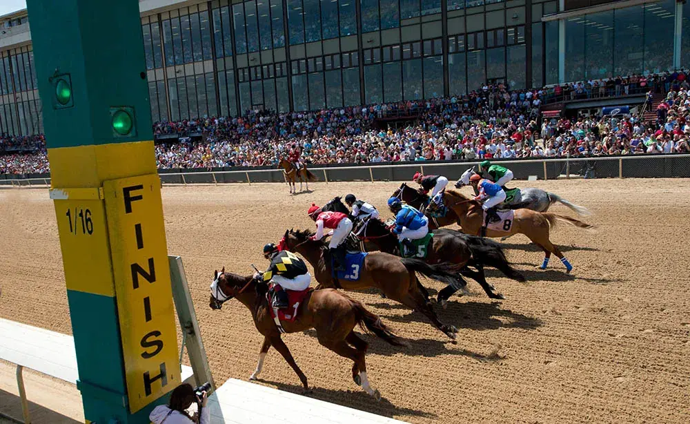 Oaklawn Park Picks- Essex Stakes (03/22/2025)