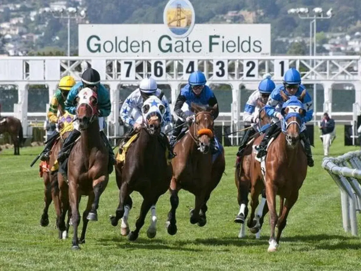 Golden Gate Fields Picks: San Francisco Mile