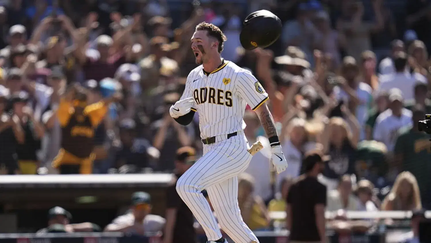 Padres @ Rockies: MLB Predictions, Odds & Best Bets (8/16)