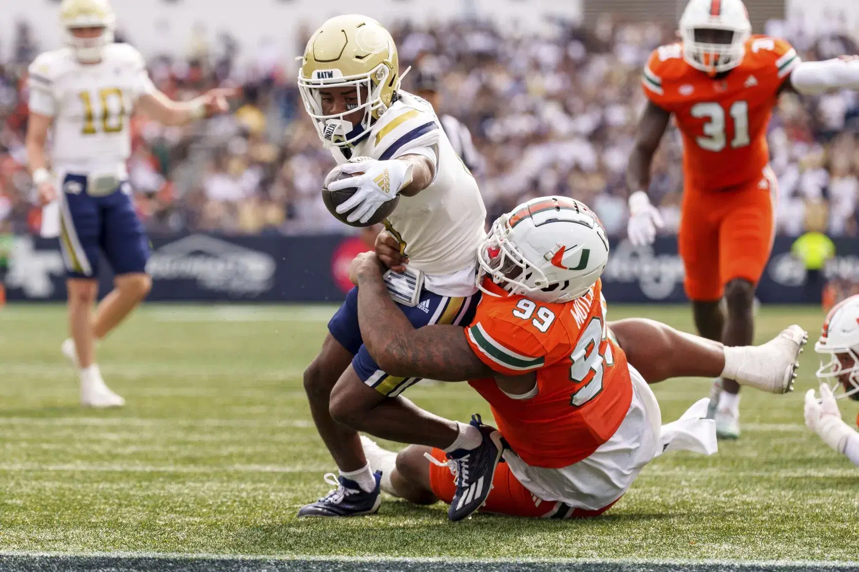 NC State vs Georgia Tech: Odds, Predictions & Key Insights | November 21, 2024