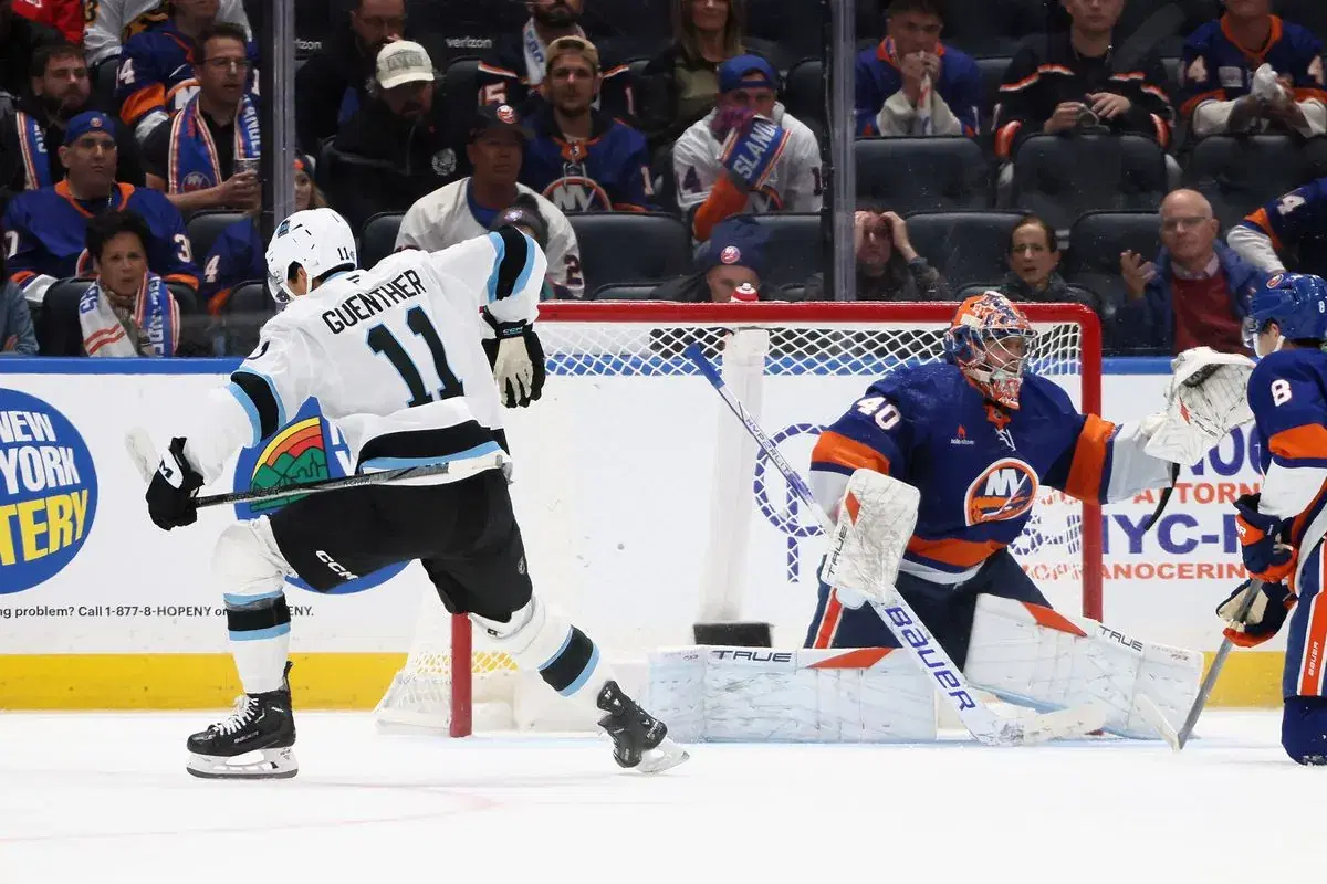 NHL Islanders vs Utah HC Picks and Odds | January 12, 2025