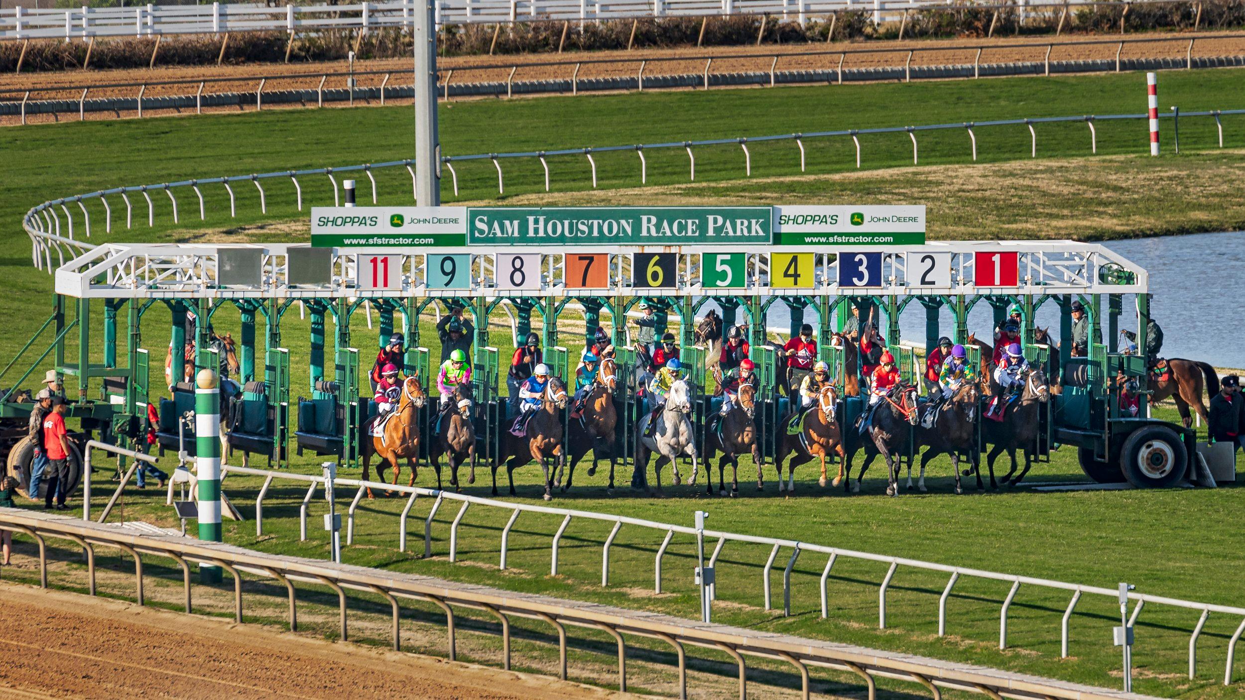 Sam Houston Picks: Houston Ladies Classic (01/24/2026)