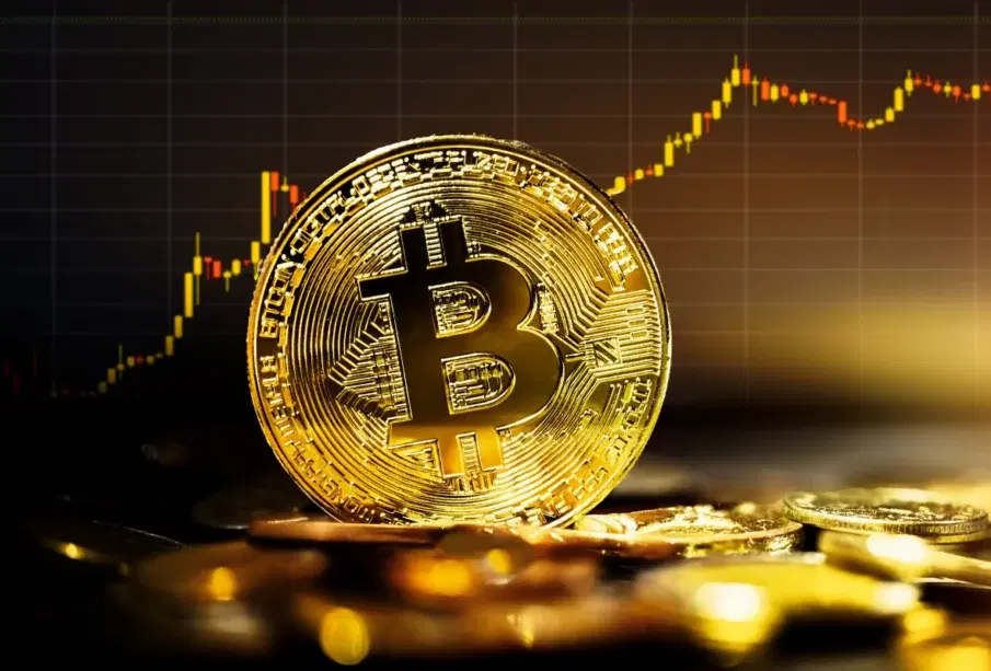 Bitcoin Hits New All-Time High Amid Bearish Market