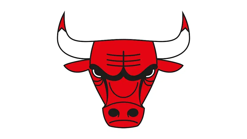 Chicago Bulls