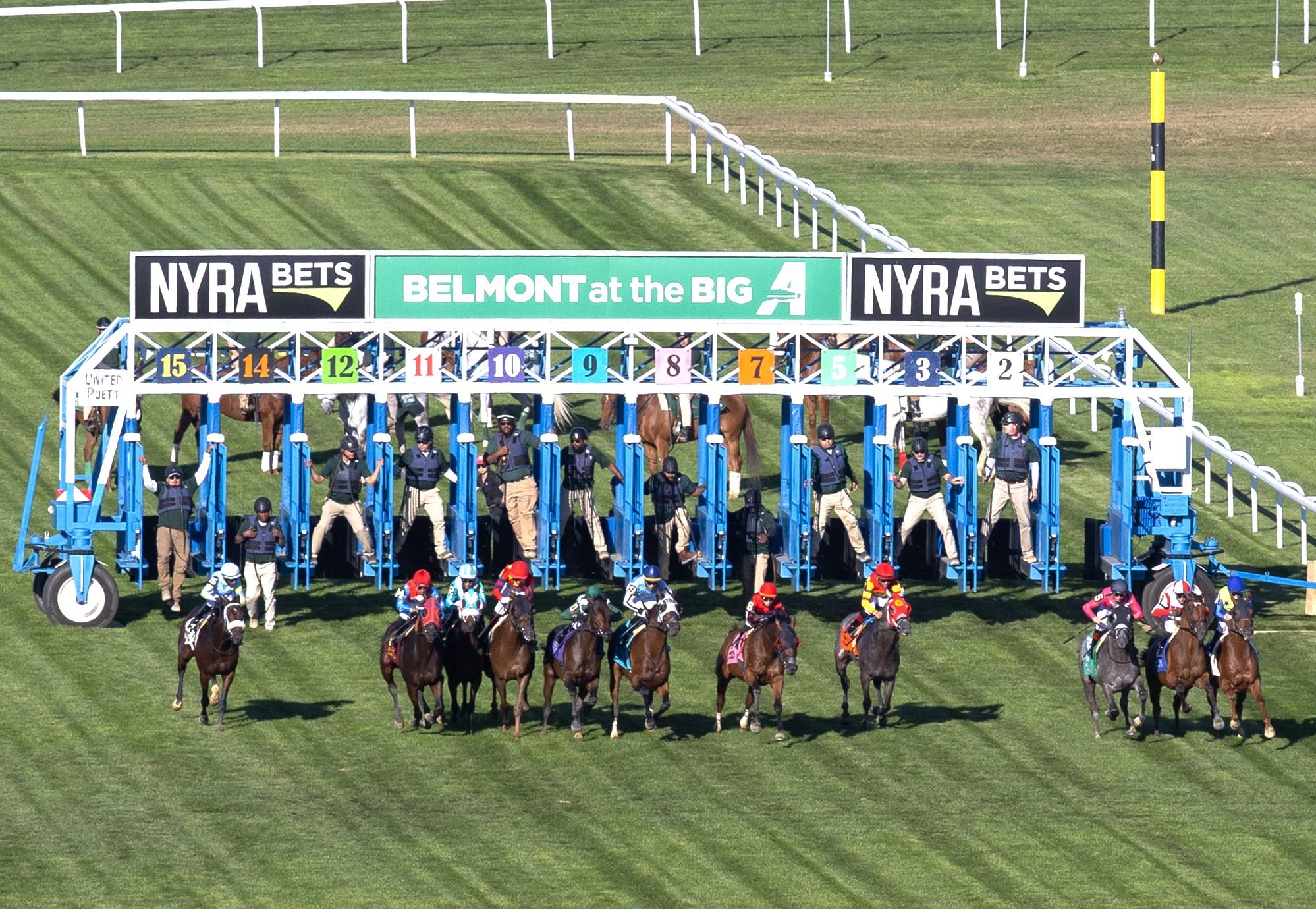 Aqueduct Picks: Notebook Stakes (11/14/2025)