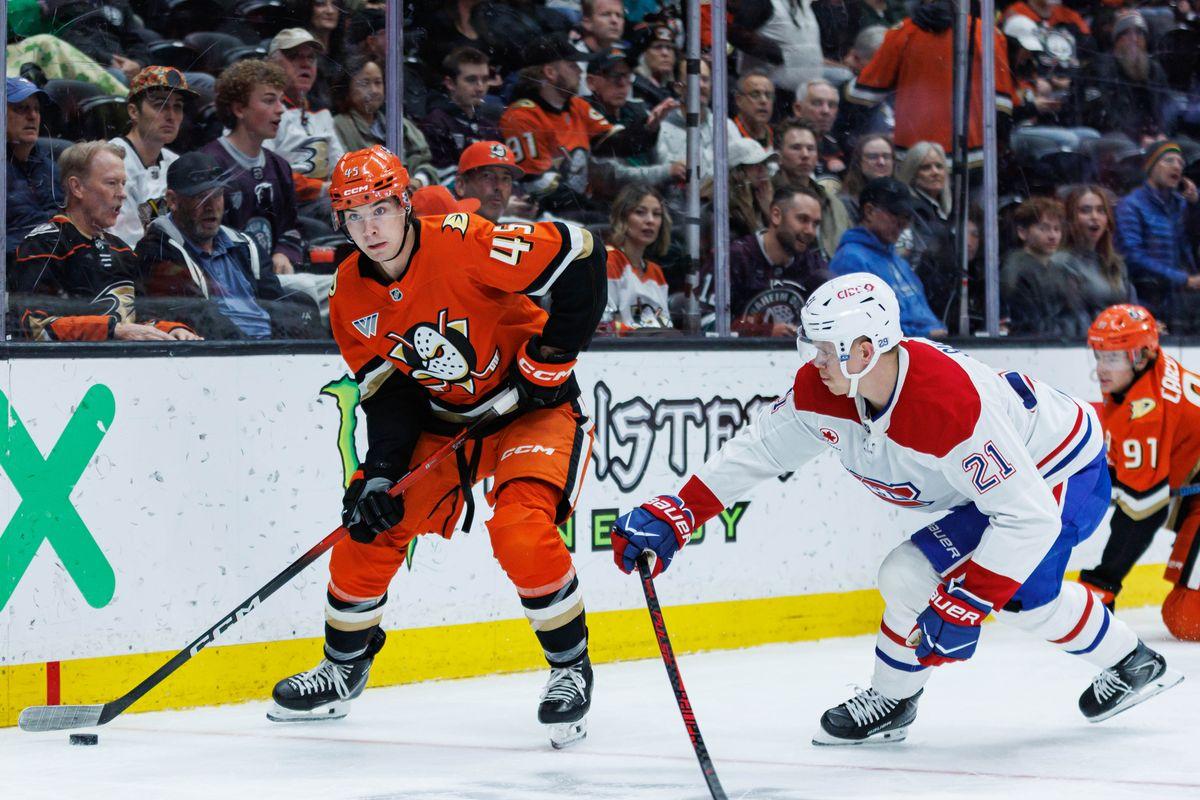 NHL: Ducks vs. Canadiens Picks and Odds | March 15, 2026