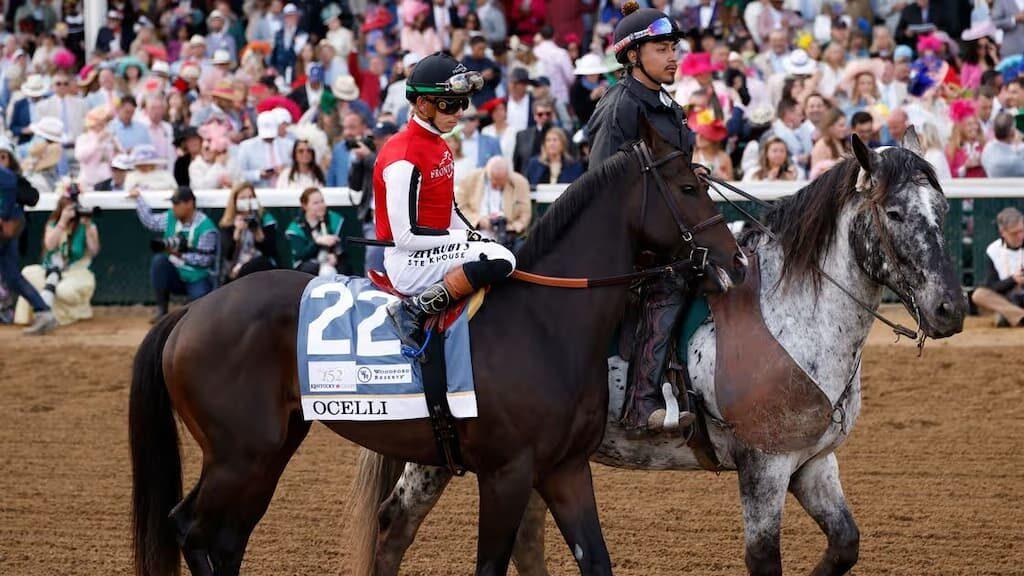 Preakness Stakes Q&A cover (Ocelli at the Kentucky Derby)