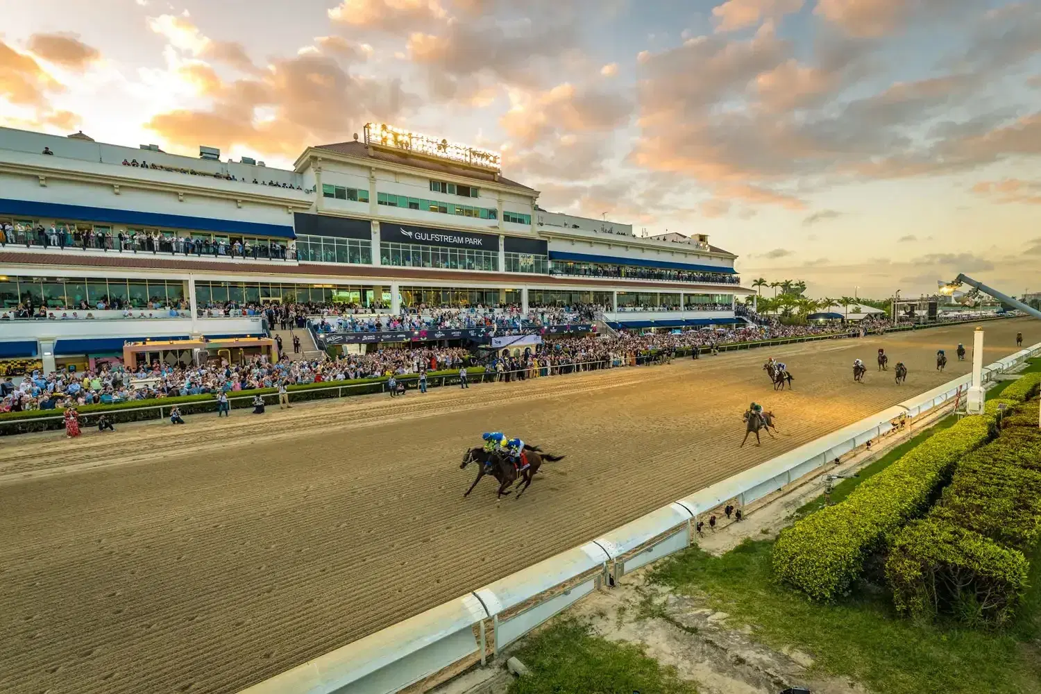Gulfstream Park Picks Today: Top Selections in Every Race for October 3, 2026