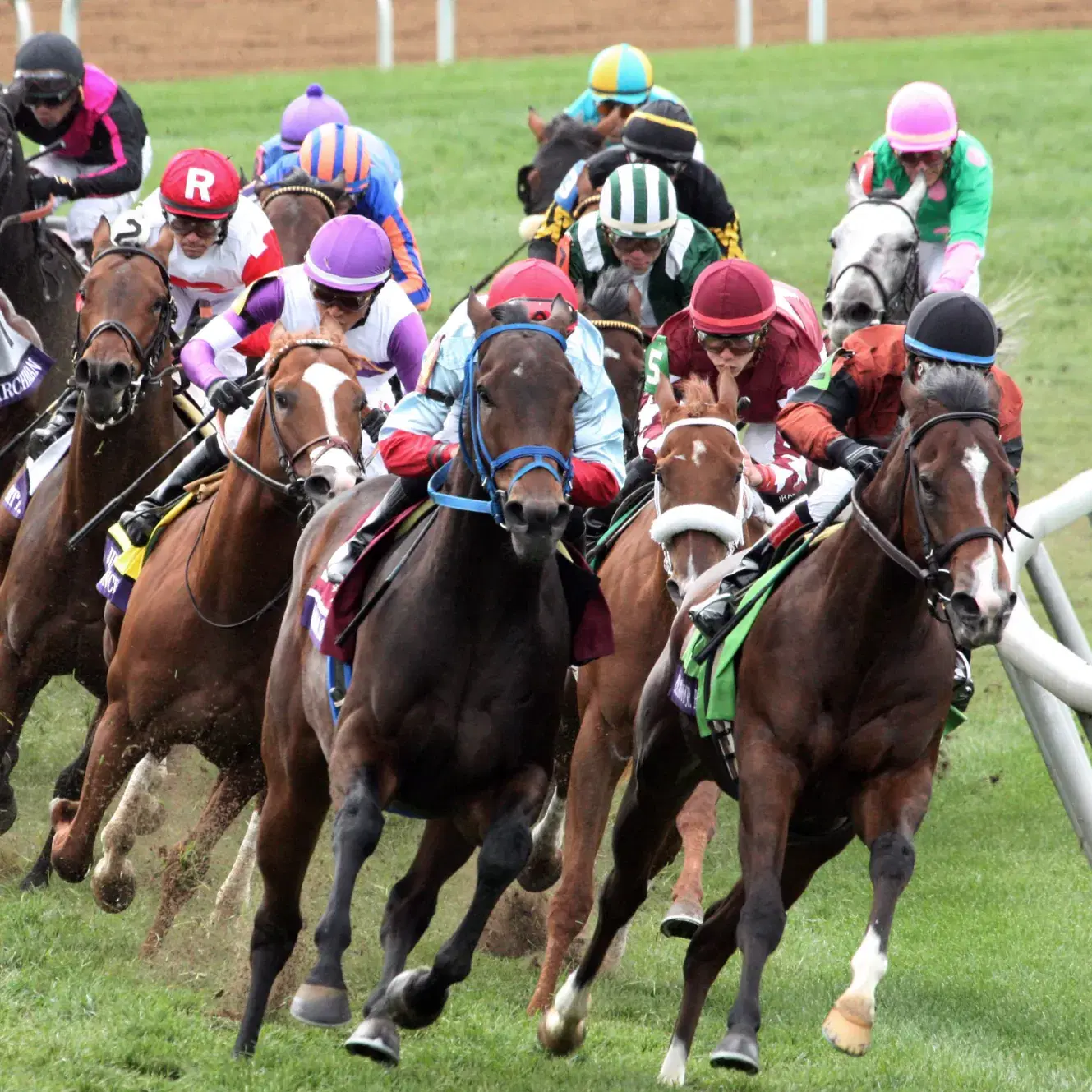 Breeders’ Cup 2018 analysis and picks: BC Turf at Churchill Downs