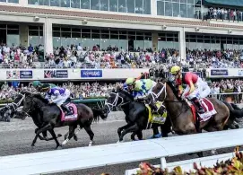 Gulfstream Park Picks: 2019 Florida Derby Analysis