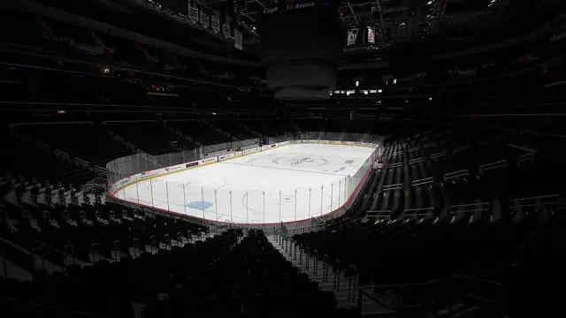 NHL Suspends Season, Could Push Playoffs Into July