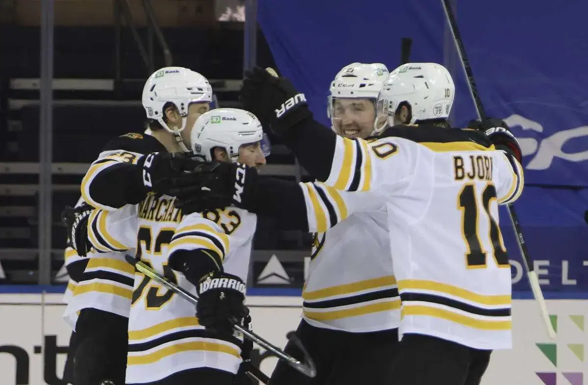 NHL Preview and Best Bets (February 12): Back Bruins in MSG Matchup