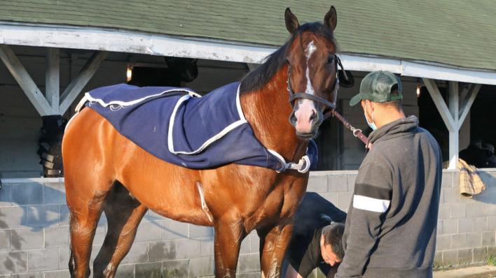 Kentucky Derby Betting Value: Live Long Shots and Dark Horses