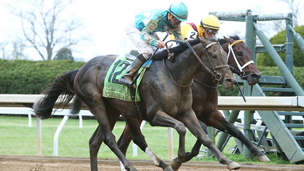 2021 Kentucky Derby Betting: Increase Value, Fade the Hunch