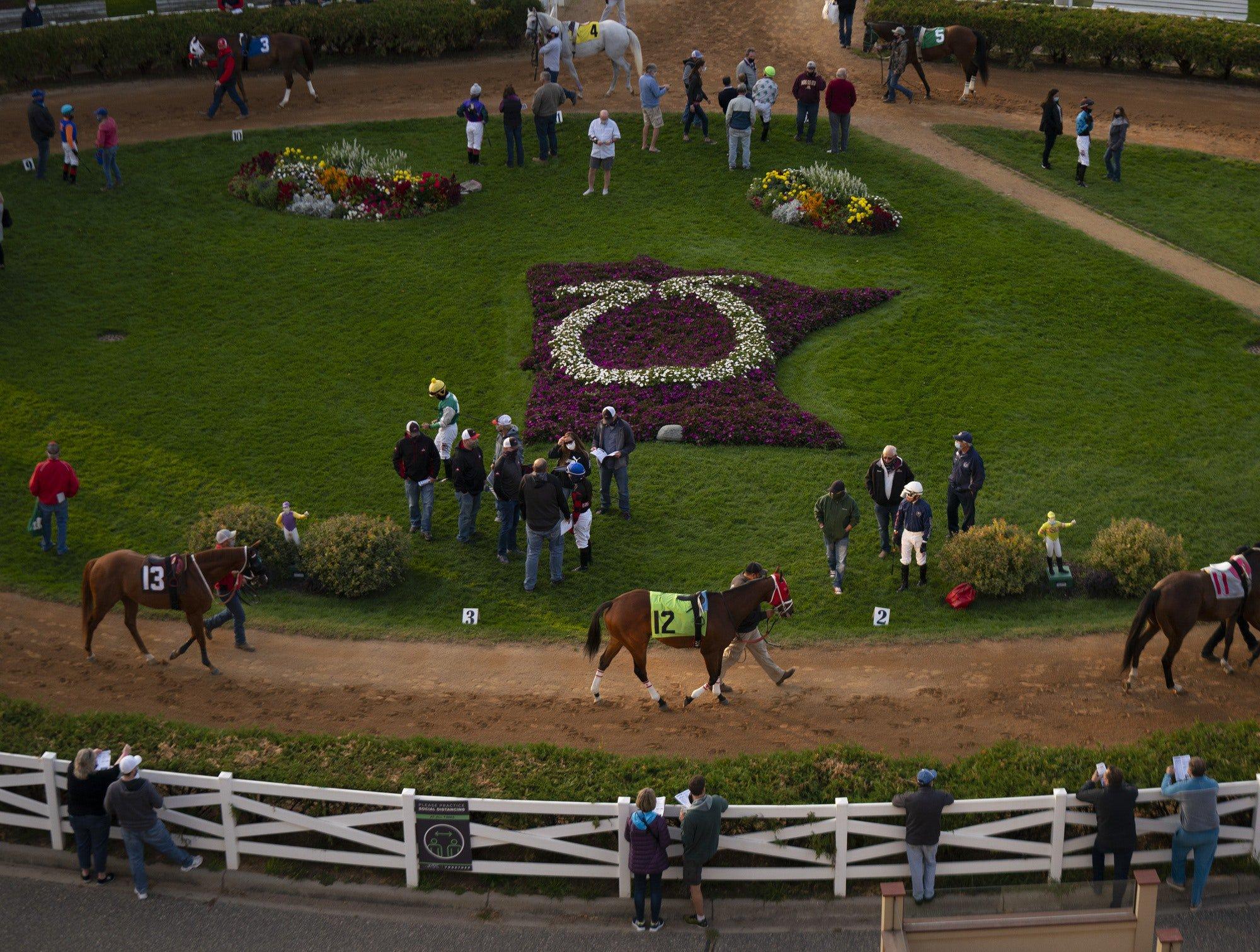 Canterbury Park Picks: 2024 Minnesota Derby