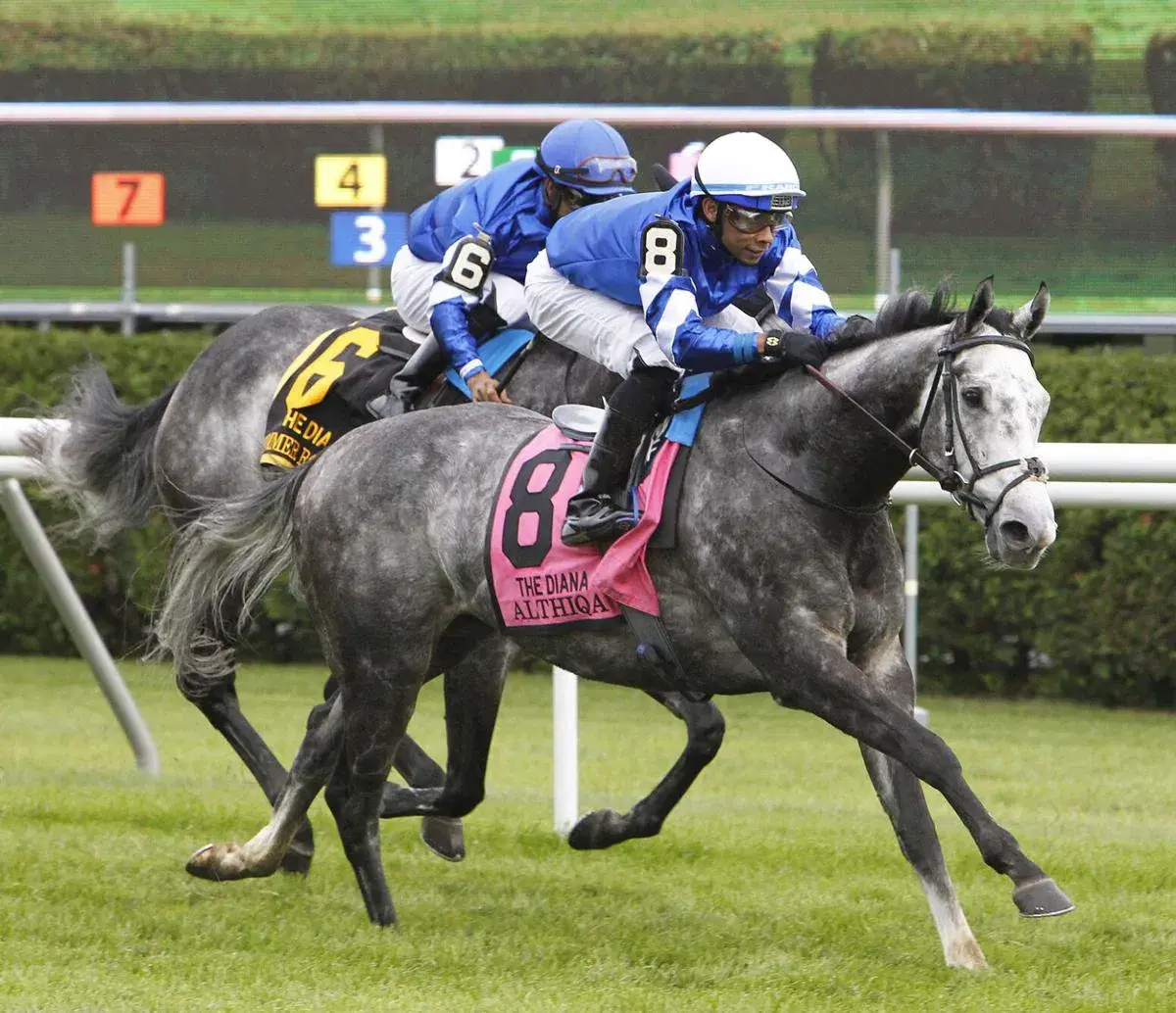 Althiqa and Summer Romance placed 1-2 in the Diana last weekend at Saratoga.