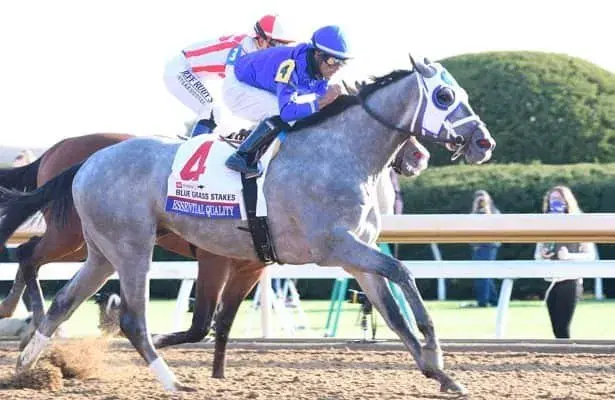 Essential Quality returns to the races at Saratoga after winning the Belmont Stakes.