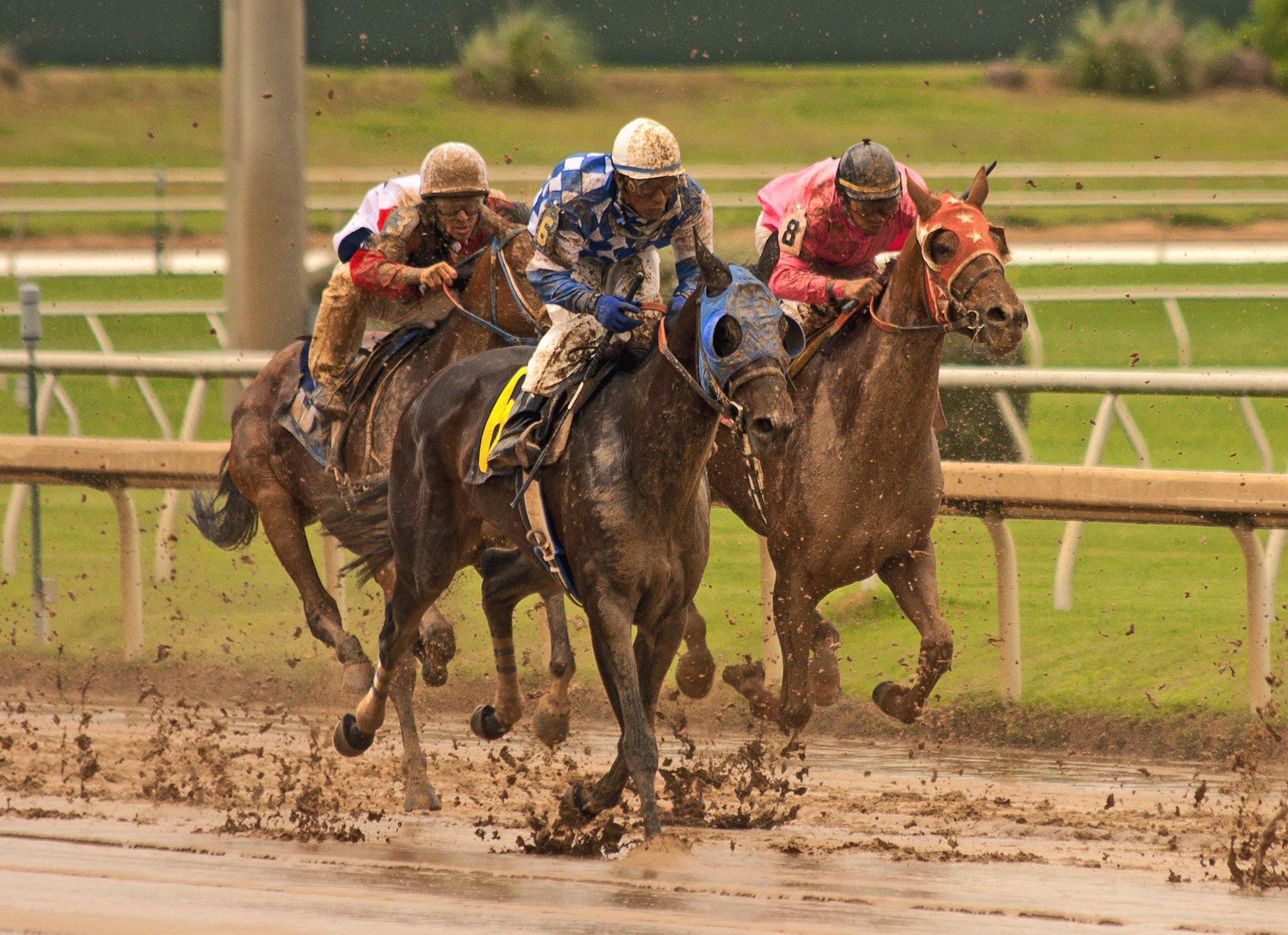 Belmont Saturday: Oaks and Derby Picks Picks and Analysis