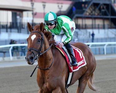 Saratoga Stakes Preview: Wednesday Analysis & Selections