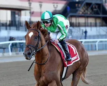 Mr. Buff will run at Saratoga in the Evan Shipman Handicap