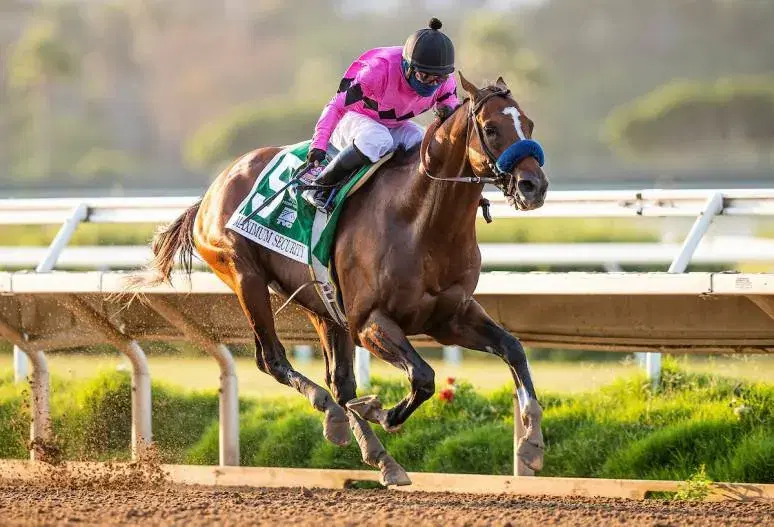Max Security won the 2020 Pacific Classic which will be run at Del Mar on Saturday