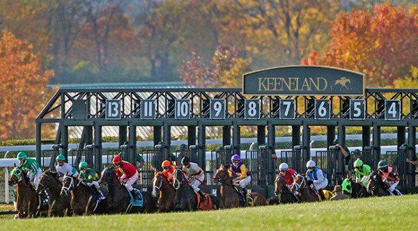 Keeneland Thursday 10/28: Analysis and Selections